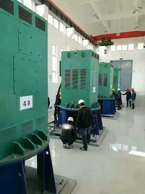 晋城某污水处理厂使用我厂的立式高压电机安装现场