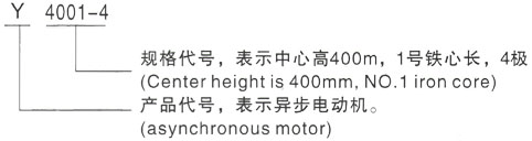 西安泰富西玛Y系列(H355-1000)高压晋城三相异步电机型号说明